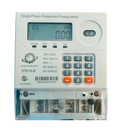 Electricity Sub-Meters